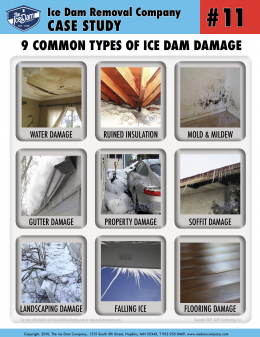 9 Common Types of Ice Dam Damage 9 Common Types of Ice Dam Damage